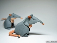 藝術家Quyet Hoang Tien栩栩如生的動物摺紙藝術