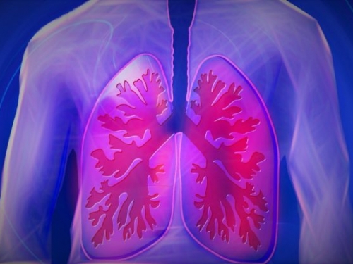 空汙導致肺癌，《自然》研究發現關鍵是慢性發炎