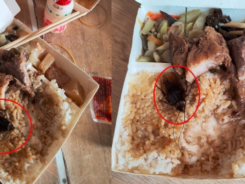 吃飯不要滑手機！焢肉壓著驚悚生物 全網嚇壞：好大一隻