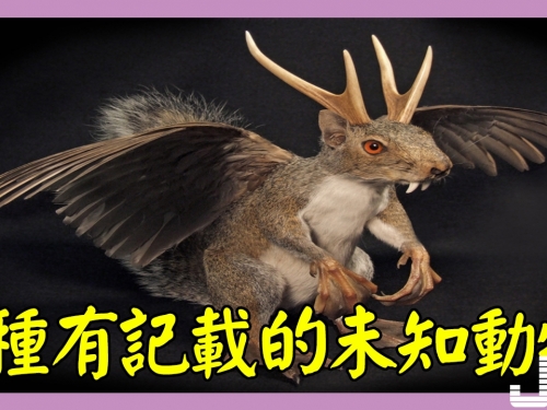 5種有記載的未知動物，第3種存在機率高，曾被捕抓