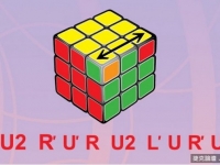 只要7步，任何魔方6面都能還原！再笨都學的會∼留著教孩子吧!
