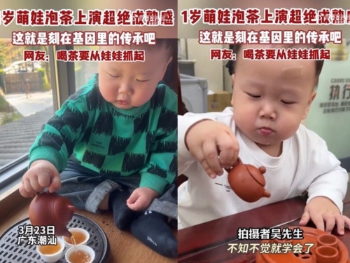 孟婆湯失靈了？ 1歲童竟會泡老茶 網友：相當老練