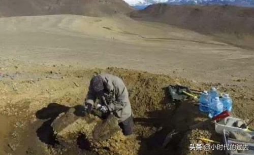 南極也變得有色彩？考古學家的五個驚人發現，領略不一樣的南極
