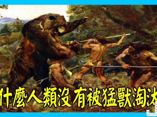 為什麼人類沒有被猛獸淘汰？難道野人強於猛獸？