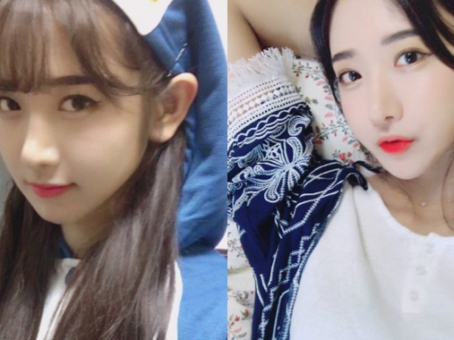 國民老婆！企鵝舞實況主水汪大眼放送「超萌電力」，讓人想把她帶回家