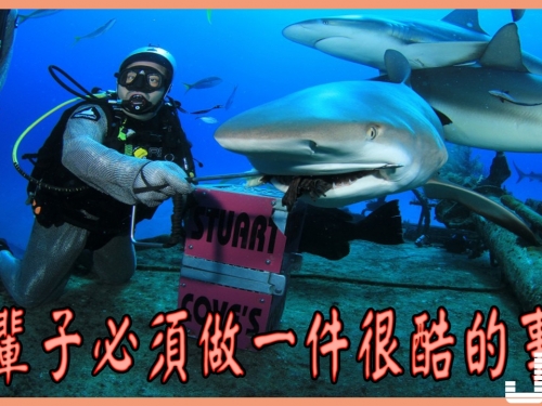 一輩子必須做一件很酷的事！這10件你做了幾件
