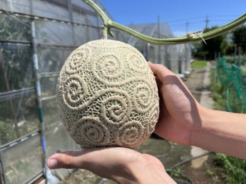 用洋香瓜刻出「惡魔果實」 網友讚：願意出一億元買