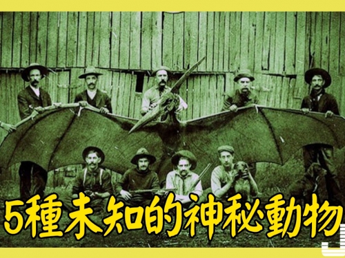 5種未知的神秘動物，第3種或是殘存的史前物種