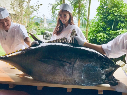 明日花綺羅霸氣轟趴！超狂「100斤黑鮪魚」擺上桌　鍵盤估計至少上百萬跑不掉