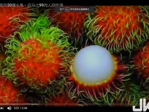 全球罕見的30種水果，百分之99的人沒吃過