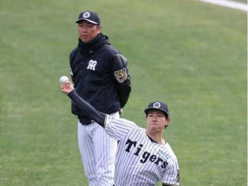 日職》阪神肌肉男投手飆速159公里！前OB名將給高評價