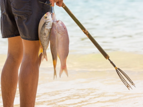 潛水男浮出水面呼吸 天降怪魚滑進喉嚨 詭異過程曝光