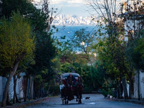 馬匹過勞+傳染病！伊斯坦堡王子群島禁觀光馬車3個月