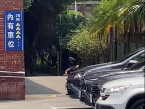 真火熱！ 男女正中午「忘情連結」 女在引擎蓋狂搖片網瘋傳