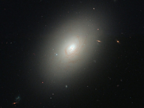 處女座超星系團的橢圓星系和螺旋星系分布異常