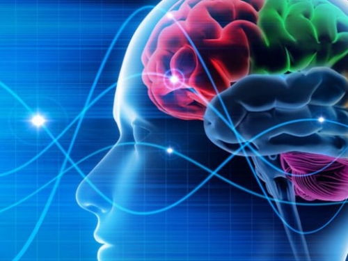 科學家繞過視神經，以大腦植入方式協助盲人重見光明