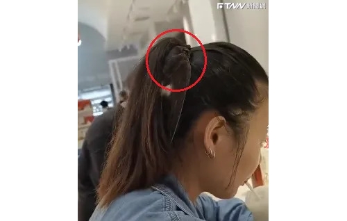 完美詮釋小鳥依人！燕子筆直黏女子後腦杓兩小時
