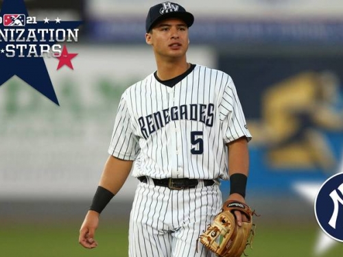 MLB》藏不住對頭號大物的期待 洋基總仔很興奮