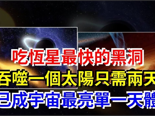 吃恆星最快的黑洞，吞噬一個太陽只需兩天，已成宇宙最亮單一天體