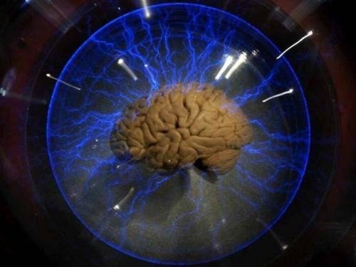 腦袋開外掛！新研究靠「無痛電擊」 讓數學學渣變學霸