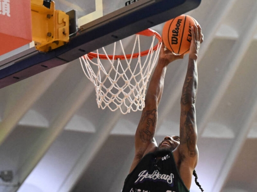 T1》台啤英熊雙洋將發威 沒魔獸和艾夫伯的雲豹本季8連敗收尾