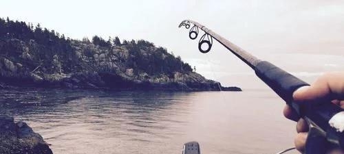 美國捕獲全球極危生物，重量超過158公斤，科學家：大約有50年了