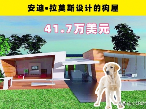 奢華的狗屋：世界上真實存在的7個極具奢華和特色的狗屋