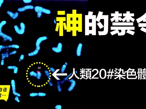 神的禁令，寫在人類的20號染色體上，神究竟禁止人類做什麼？|自說自話的總裁