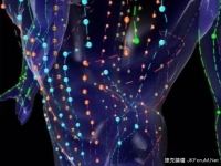 科學驚人發現：中醫學的經絡穴位實則存在於另外空間？！