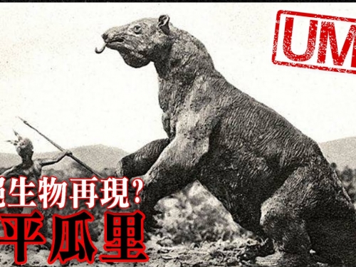 【UMA檔案】馬平瓜里-隱身在亞馬遜雨林中的滅絕生物?! Mapinguary