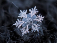 色膠帶纏數位相機 俄羅斯攝影師拍出細緻雪花冰晶
