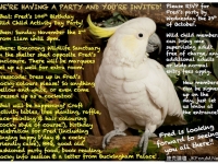 澳洲鳳頭鸚鵡過100歲生日　英女王親筆來函獻上祝福