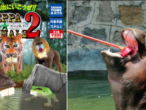 暴牙系列回歸！　ARTS推出「暴牙☆ANIMALS」扭蛋系列第二彈！