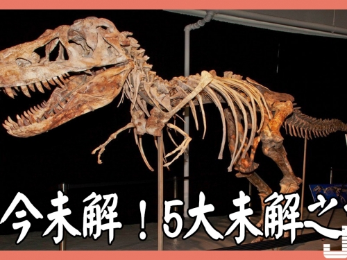至今未解！最令人不解的5大未解之謎