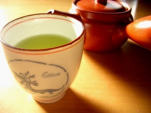 腦神經網路研究發現，喝茶可改善大腦認知能力