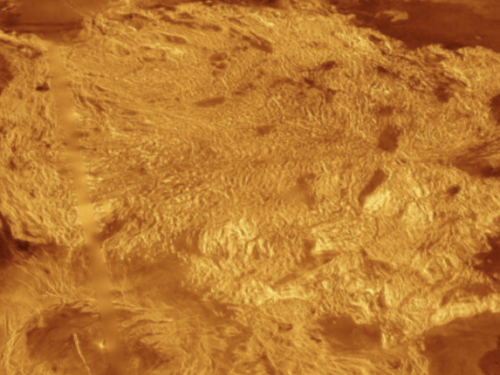 科學家認為月球表面的岩石來自金星，甚至可以用來研究金星的歷史