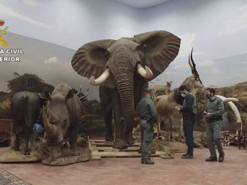 根本就是動物園！西班牙查獲上千隻標本 連野外滅絕生物都有