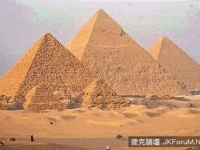 千年萬載不死的動物