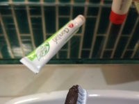 大開眼界！屎一樣的牙膏、雞蛋大的葡萄…