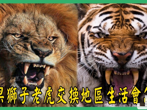 如果把獅子丟進森林，把老虎丟到草原，會發生什麼事情？