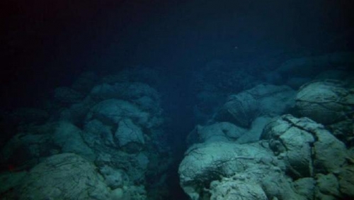 17世紀的醫生發現了什麼？除螢火蟲和發光水母，人體也會發光？