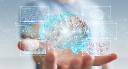新研究發現人腦存在第四層膜 打破舊的認知