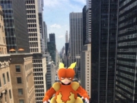 《Pokémon GO》出現在這麼害羞的地方我該收服嗎？