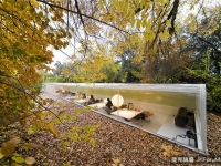 移動式的辦公室  讓員工感覺在樹林里工作