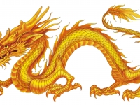 網友被親戚介紹與龍妹相親，上網尋求協助引發熱議