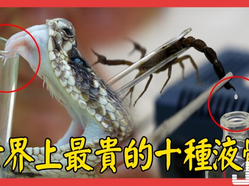 世界上最貴的十種液體，第一名你絶對想不到