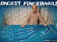 「蓄指甲」63年！印度老翁指甲長910公分　破世界紀錄