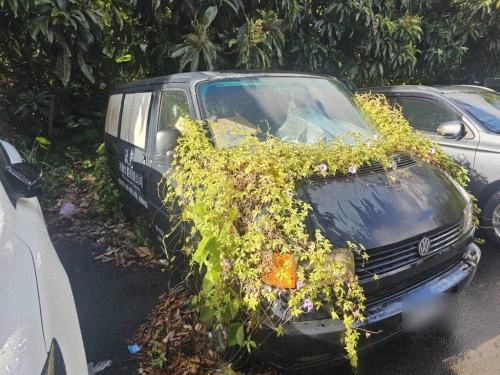 半年沒動長滿花草！廂型車成「行動花圃」