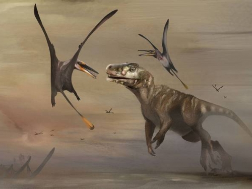 發現侏儸紀最大翼龍 保存完好前所未見「利齒閃寒光」