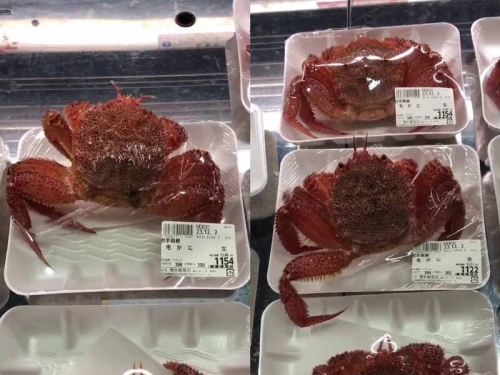 你家水產多新鮮？ 日本鮮魚店盒裝毛蟹 居然「活跳跳」